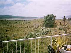 Heads View - Port Waikato