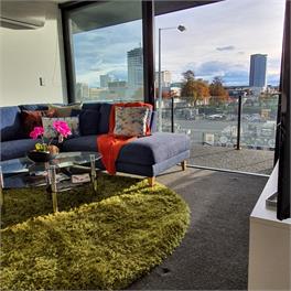 Beautiful sunny apartment with off street carpark - Christchurch