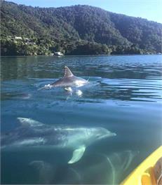 Lanza Retreat (Bachcare) - Tennyson Inlet