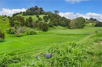Westhay Stables (Bachcare) - Paparoa