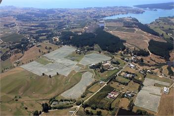 Beech Hill - Pet, Child & ECO Friendly - Nelson