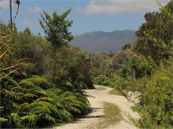 Immerse yourself in the West Coast native flora and fauna - swimming, sunsets and tranquility - Westport