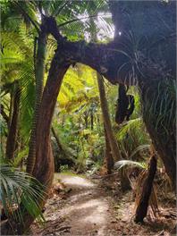 Fenian Retreat - Karamea