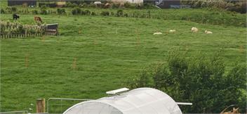 Country Living on Surfhighway 45 - new plymouth