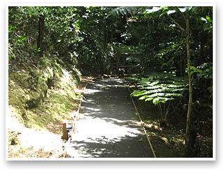 Club Paihia Week 52 SPECIAL Timeshare - Paihia