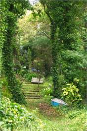 Remuera B&B at your Fingertips - Auckland
