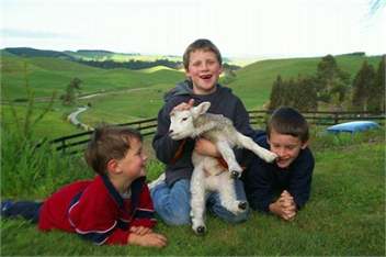 Taupo Farm Lodge - Farmstay, self-contained accommodation - Taupo