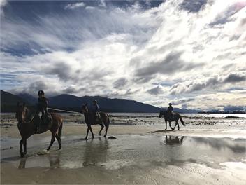 Kepler Oaks Takitimu Chalet - TE ANAU
