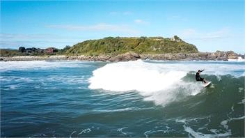 Immerse yourself in the West Coast native flora and fauna - swimming, sunsets and tranquility - Westport