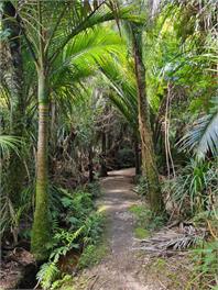 Fenian Retreat - Karamea