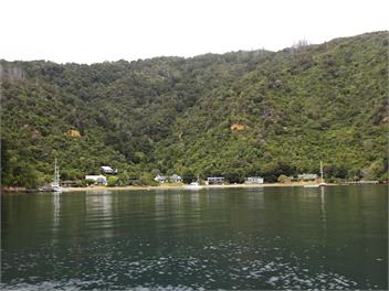 Taha Moana - Picton