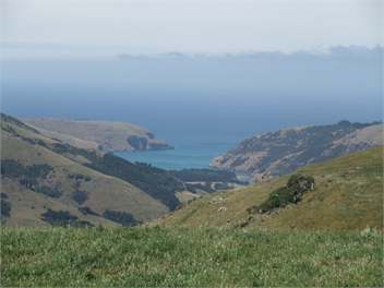 Kiwi Bach, Le Bons Bay - Banks Peninsula