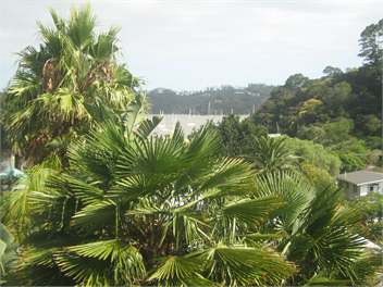 Matauwhi Retreat ( Central Russell) - Russell boi