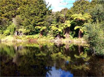 Ellenglaze Cottage - Whangarei RD3