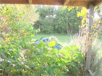 Nook Cottage B&B - Masterton