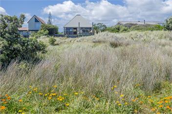 Beachfront Te Horo: The Beach Retreat - Kapiti Coast