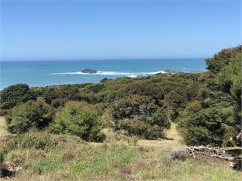Kupe's Secret (The Bush Bach) - Palliser Bay