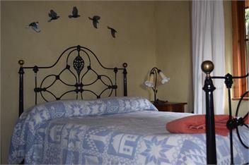 The Old Orchard Cottage - St Bathans