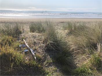 The Black Bach  - Riversdale Beach