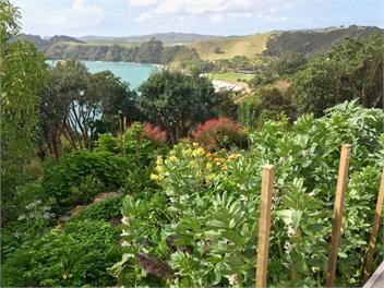 BELLE COVE LODGE : Coast and Country - auckland