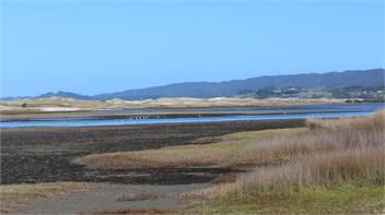 Waipu Beach Retreat - Waipu