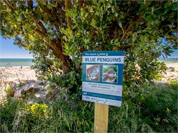 Tidal Treasure (Bachcare) - Collingwood