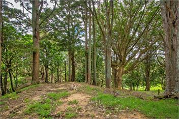 Westhay Stables (Bachcare) - Paparoa