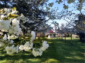Mulberry Cottage - Methven