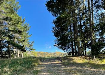 Nova Z Vineyard Cottage - Blenheim