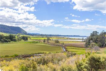 Shelly Bay Retreat - Katikati