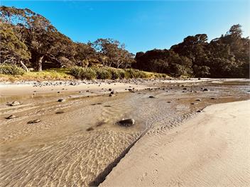 Komo Mai - Coromandel