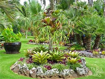TOTARA WATERS - Auckland