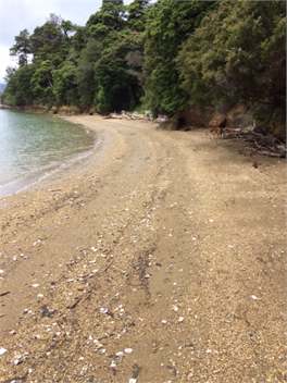 Karamu - Picton RD2