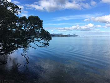 Mason Lane - Whangarei