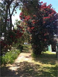 The Black Bach  - Riversdale Beach
