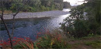 Waimarama Lodge, 4 Kokopu Street, Tongariro Riverside, Turangi - Turangi