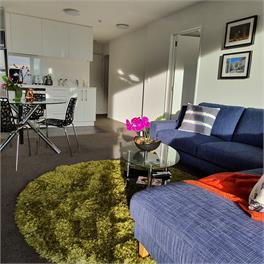 Beautiful sunny apartment with off street carpark - Christchurch