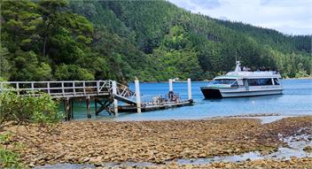  Cockle Cove Haven, Queen Charlotte Sound - Picton