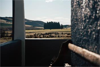 Havrincourt Farm- The Nenthorn Farmhouse - Palmerston