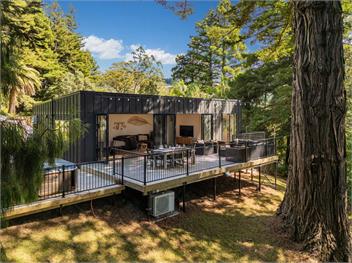 Modern Coastal Tree House (Bachcare) - Whangamata