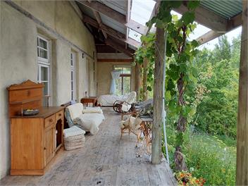 Butterfly Farm -