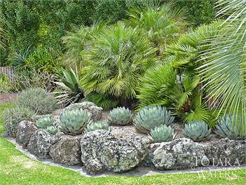 TOTARA WATERS - Auckland