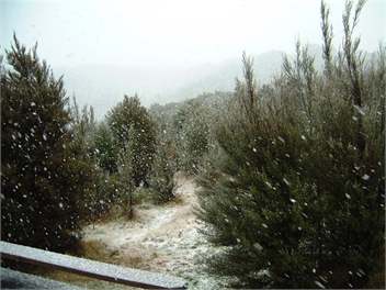 Mt Lyford Chalet - Waiau