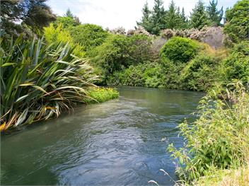 Bellbird Cottage (Bachcare) - Waitahanui