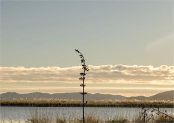Tio Point (Bachcare) - Papakura