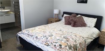 Hosts on the Coast Kupe Cutie - Whitianga