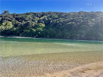 LOCATION! LOCATION! ...EPIC Beach Front Bach - Northland