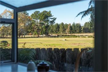 Singlee (Bachcare) - Turangi