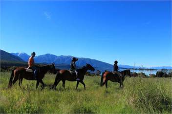 Kepler Oaks Chalet Waiau Chalet - Te Anau