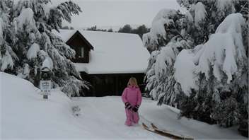 Manuka Lodge - Authentic log chalet with outdoor spa - Mount Lyford